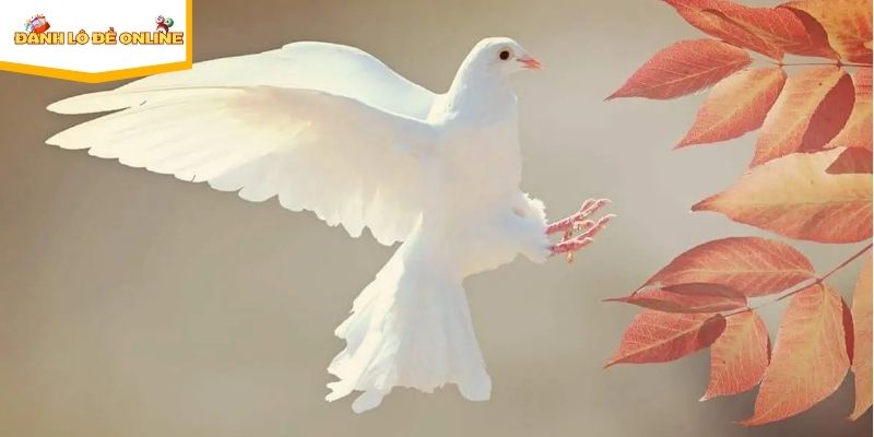 Giải mã giấc mộng chim bồ câu bay vào nhà mang đến